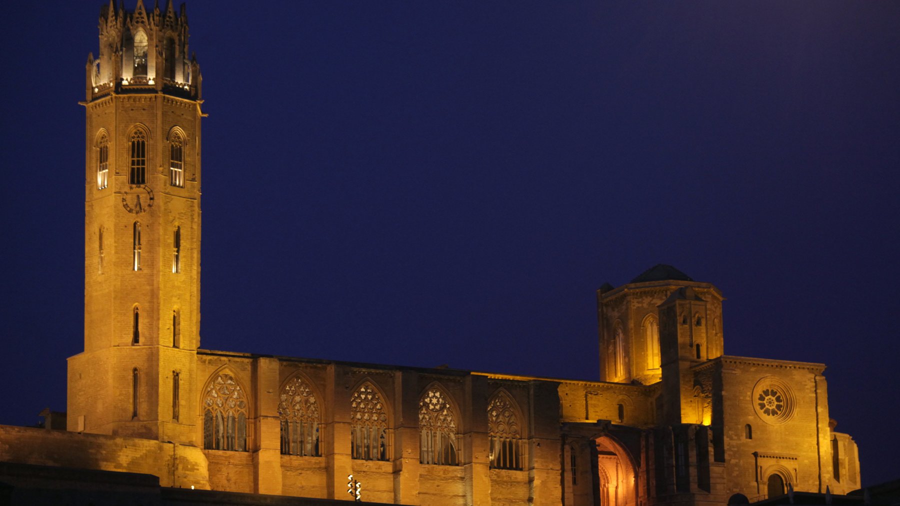 La Seu Vella com mai l'has vista: Visita Nocturna i Focs Artificials!