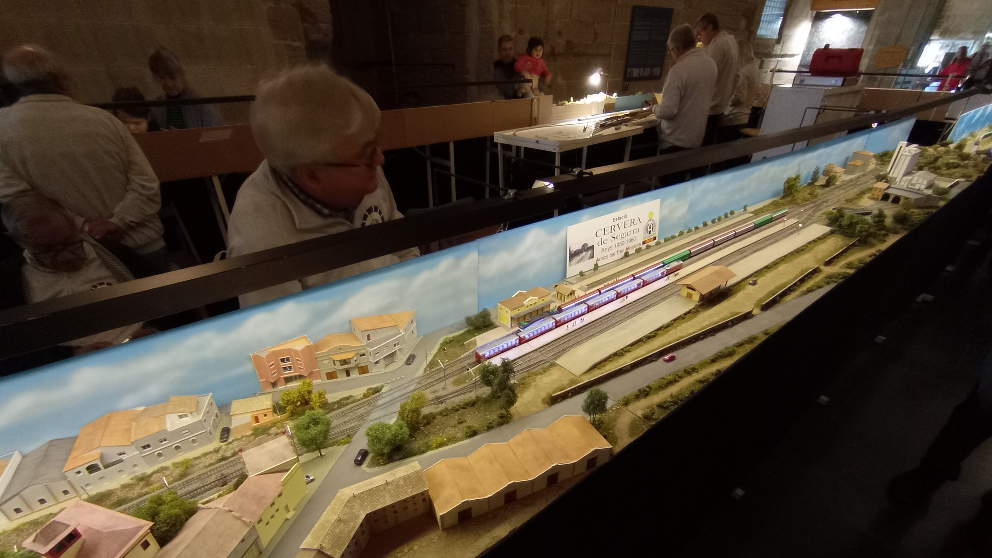 Trens a la Seu Vella